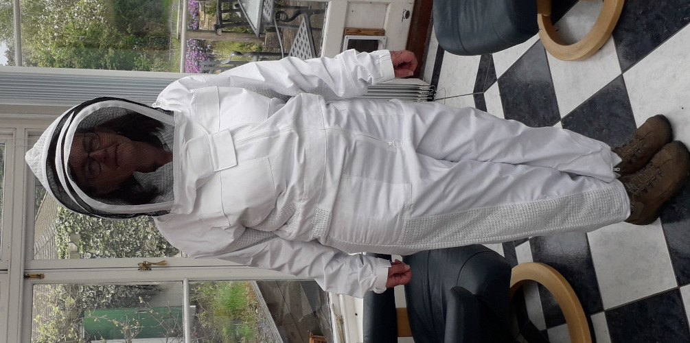 Part ventilated beekeeping suit